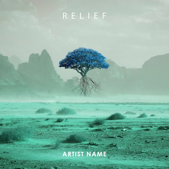 RELIEF album cover art